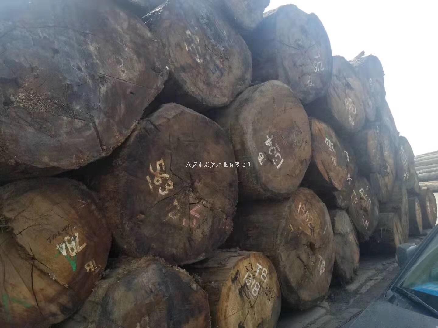 迎7月家具展，雙發(fā)木業(yè)原木加工進行中。。